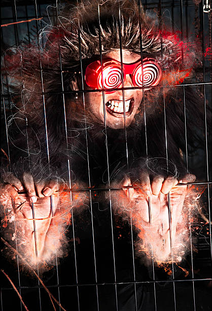 growling em uma gaiola - confined space flash imagens e fotografias de stock