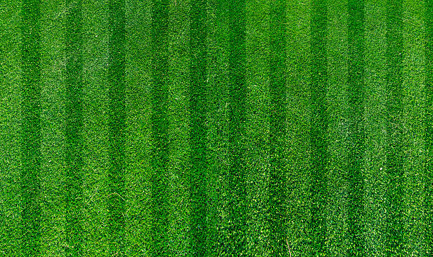 gazon vert turf - soccer stadium soccer field sport photos et images de collection