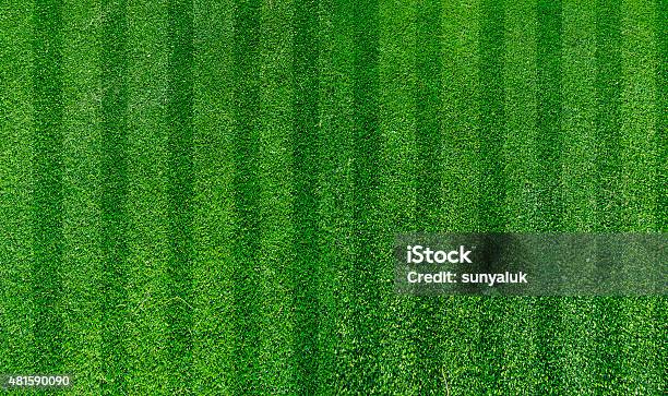 Green Grass Turf Stock Photo - Download Image Now - Baseball - Ball, Grass, Soccer