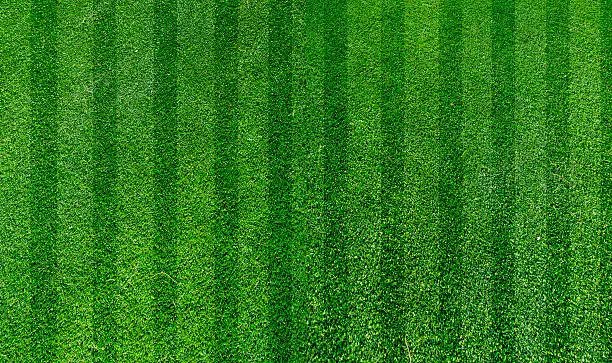 Photo of green grass turf