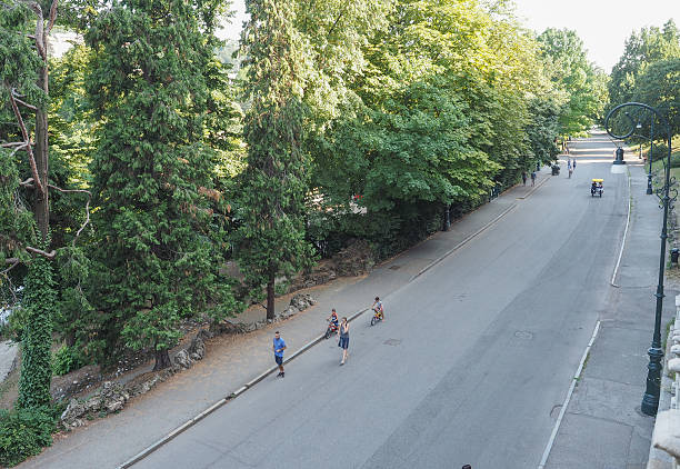 Valentino park in Turin Turin, Italy - July 11, 2015: Tourists in Parco del Valentino which is the oldest and largest urban park in Turin park designer label stock pictures, royalty-free photos & images