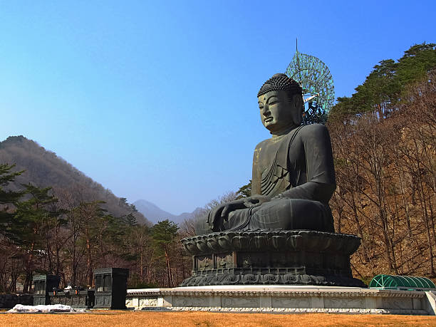 istock Big Meditate Buddha on Seorak mountain, South Korea 481601627
