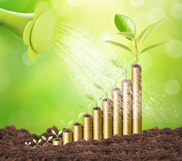 istock Investment concept, Coins graph stock 481605286