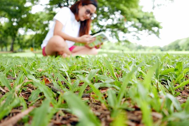 istock Blurred Backgrounds: Young Woman Reading a Book in the Park 481609828