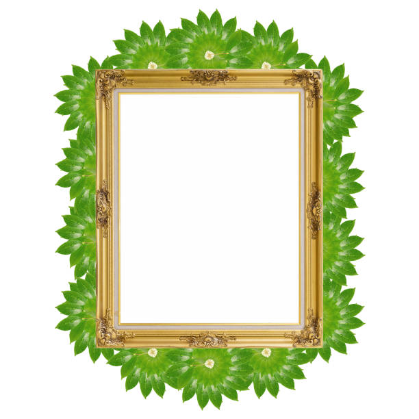 istock Gold louise and leaves photo frame isolated white background 481611496