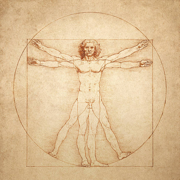 vitruvischer mann von leonardo da vinci - bildformate stock-grafiken, -clipart, -cartoons und -symbole