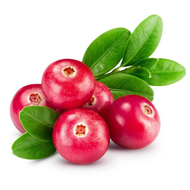 preiselbeeren - cranberry stock-fotos und bilder