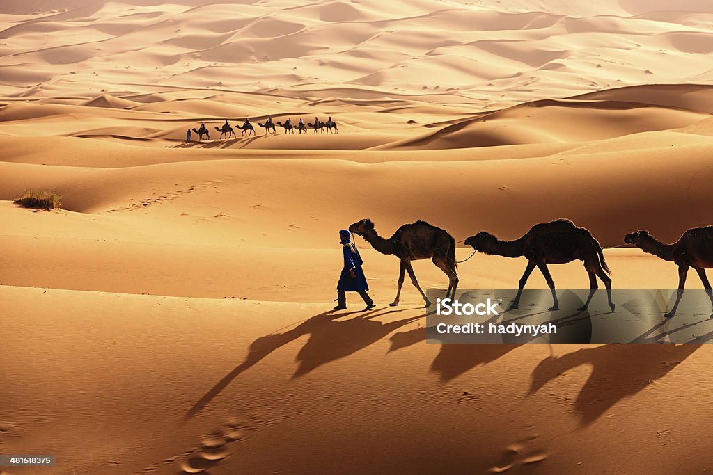 Young Tuareg with camel on Western Sahara Desert in Africa Tuareg with camels on the western part of The Sahara Desert in Morocco. The Sahara Desert is the world's largest hot desert. Desert Area Stock Photo