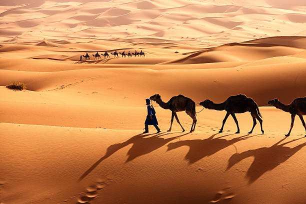 Young Tuareg with camel on Western Sahara Desert in Africa Tuareg with camels on the western part of The Sahara Desert in Morocco. The Sahara Desert is the world's largest hot desert. bedouin stock pictures, royalty-free photos & images