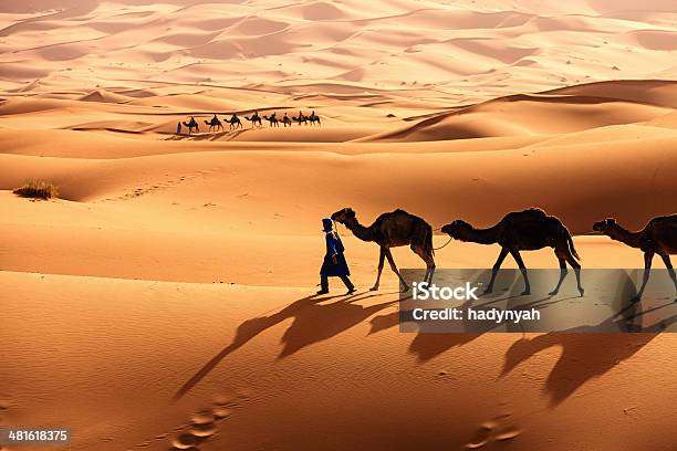 Young Tuareg With Camel On Western Sahara Desert In Africa Stock Photo - Download Image Now