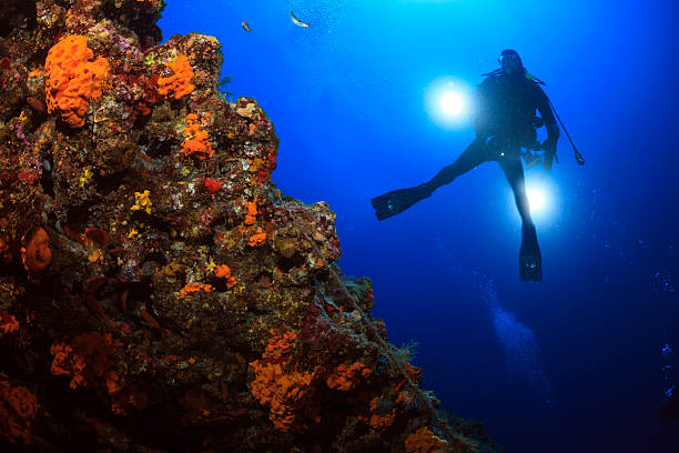 de la plongée sous-marine-photographe sous-marin - scuba diving flash photos et images de collection