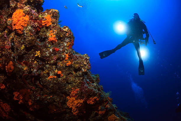 istock Scuba diving - Underwater photographer 481618395