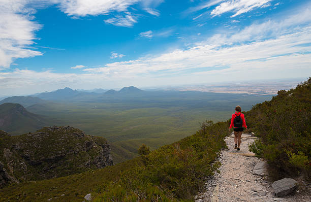trekking parque nacional de stirling range, na austrália ocidental - bush track - fotografias e filmes do acervo