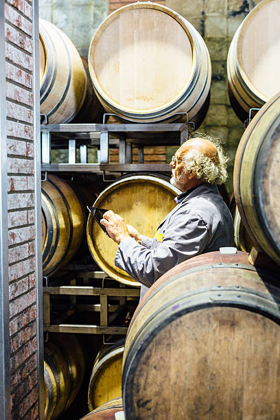 istock Winemaker man checks his wine in the barrels 481625190