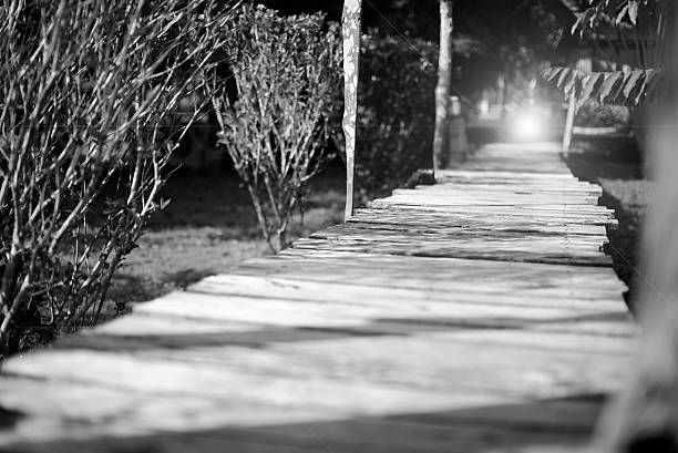 wood bridge for garden walkway.