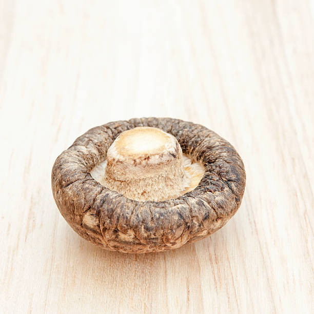istock closeup died shiitake mushrooms 481626323