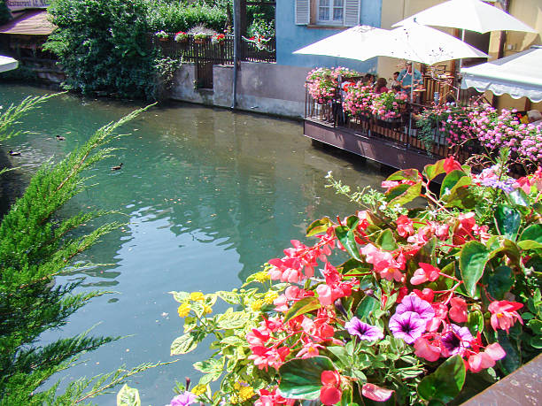 istock view of the urban river 481632544