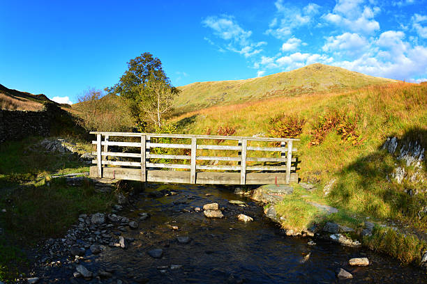 istock Footbridge over the River Kent 481632596