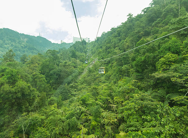 istock Perspective of Genting Highlands Forest Hill 481632697
