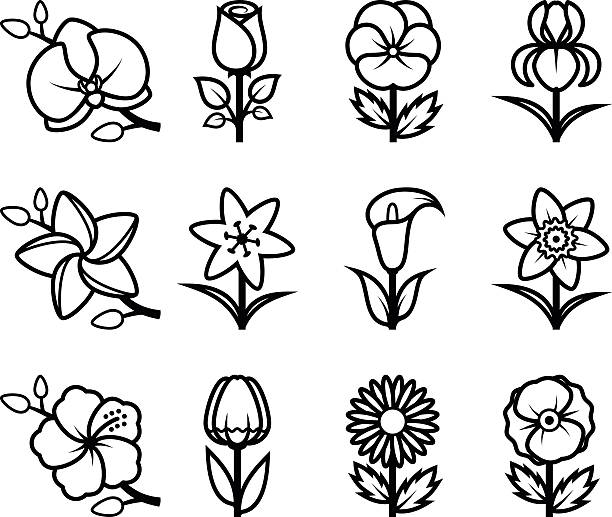 ilustraciones, imágenes clip art, dibujos animados e iconos de stock de estilizadas flores icono conjunto. - tulip sunflower single flower flower