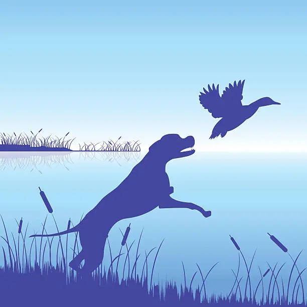 Vector illustration of hunt dog and duck vector
