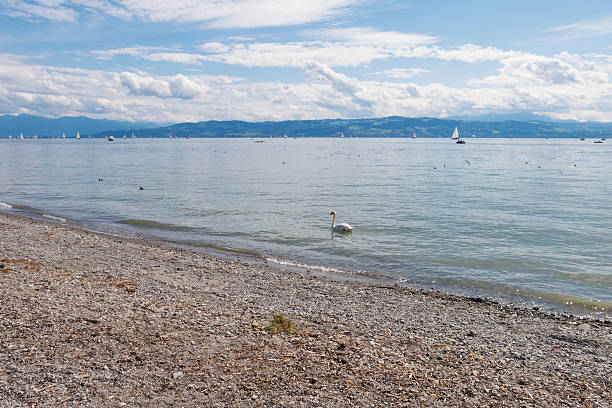 istock view on the lake constance in germany 481641448