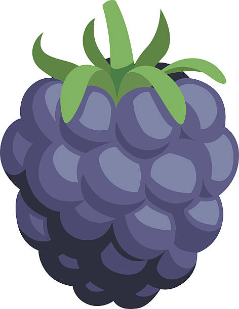 Blackberry Cartoon Vector cartoon of a blackberry blackberry fruit stock illustrations