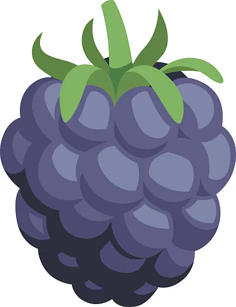 Vector illustration of Blackberry Cartoon