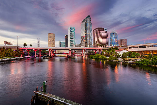 Tampa - Banco de fotos e imágenes de stock - iStock Tampa - Banco de fotos e imágenes de stock - iStock