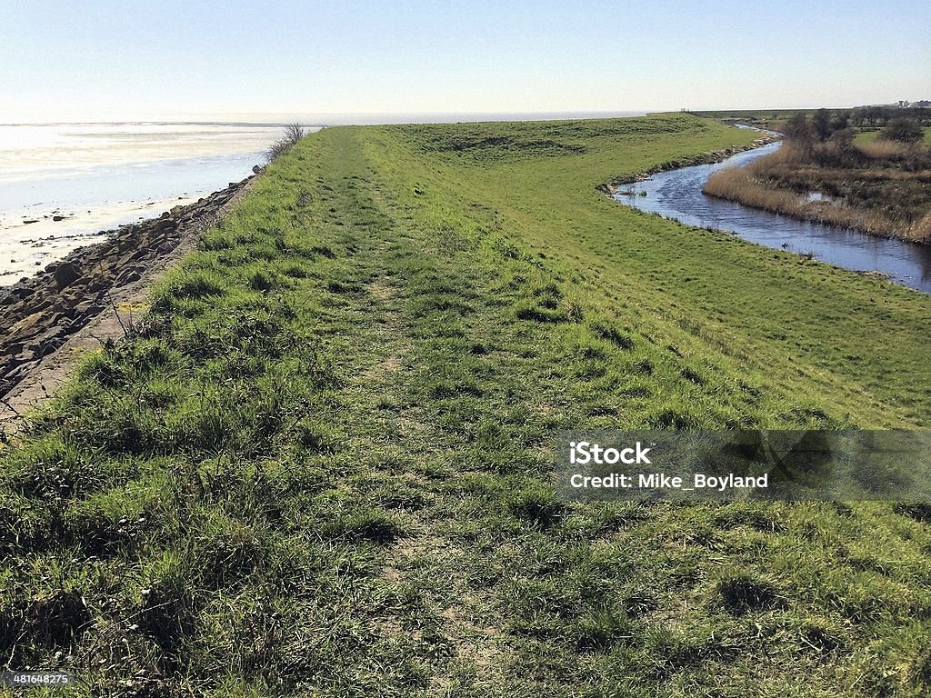 Sea Wall, Gwent Levels Magor, moors, marshes, reens, environment, agriculture, Monmouthshire, Wales, England, UK, Gwent Levels, spring, sunrise, countryside, farming, Severn Estuary, River Severn, sea wall Agriculture Stock Photo