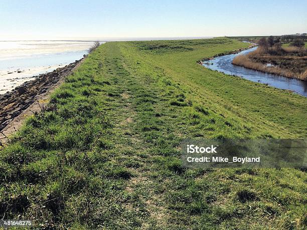 Sea Wall Gwent Levels Stock Photo - Download Image Now - Agriculture, England, Environment