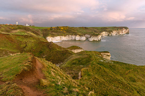 istock English coastline with cliffs and flora, Flamborough, UK. 481648448
