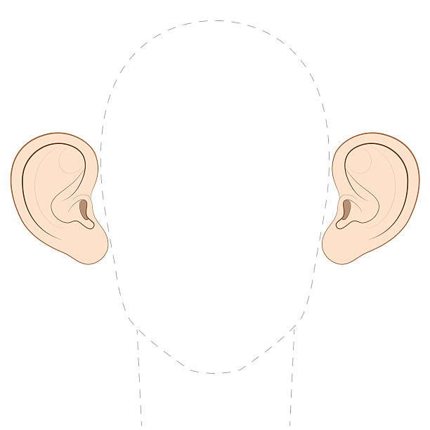 7,829 Animal Ear Illustrations & Clip Art - iStock | Animal ear large  listening