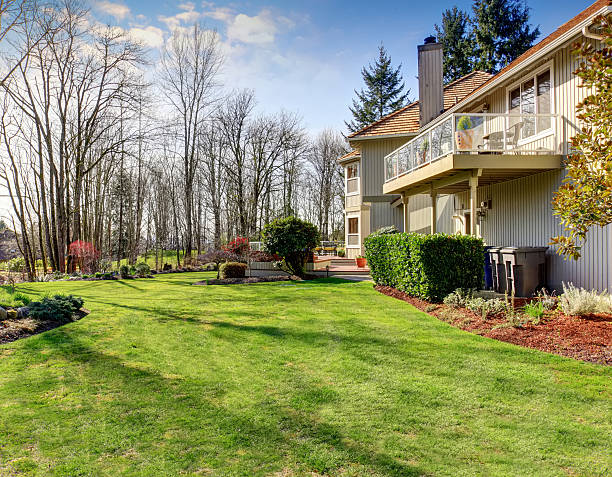 istock Large back yard with greenery, and furnished porch. 481653068