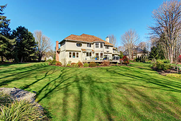 istock Large back yard with greenery, and furnished porch. 481657558
