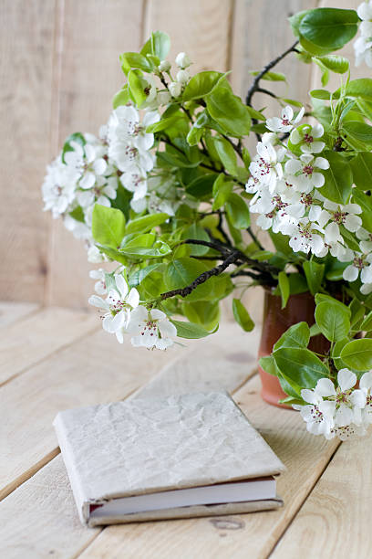 istock bouquet of flowering branches of fruit trees 481657884