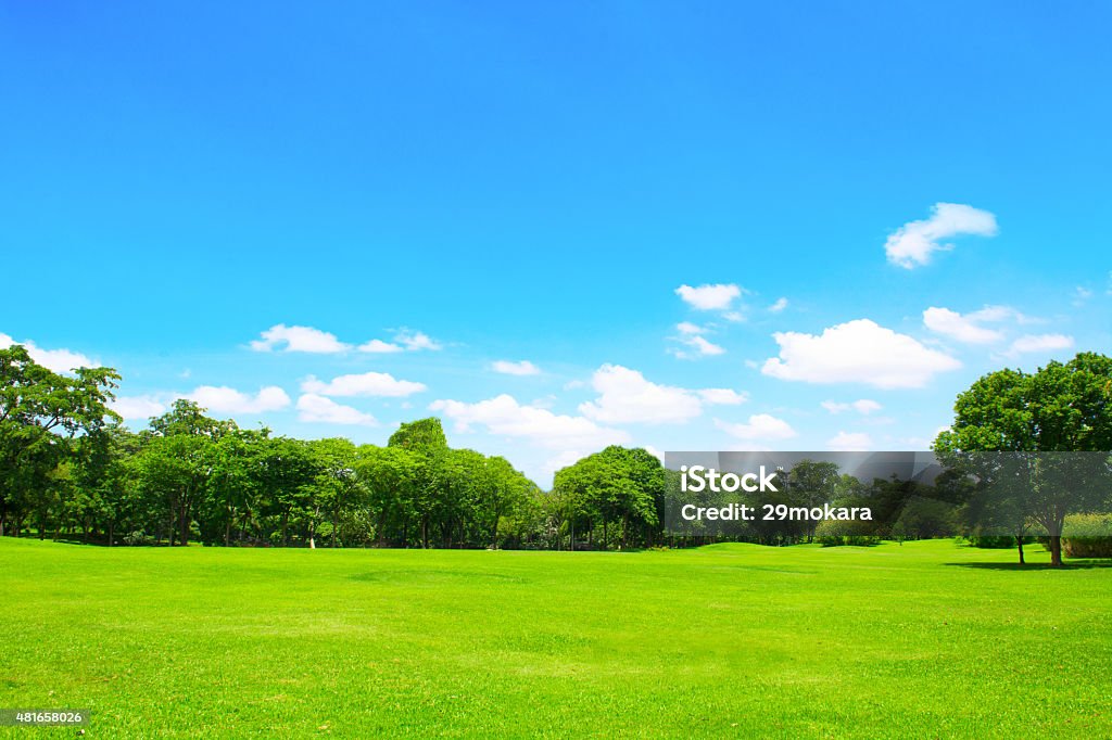 Green park y árbol con cielo azul - Foto de stock de Cielo libre de derechos