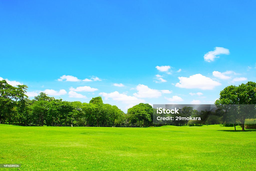 Parc et arbre vert avec ciel bleu - Photo de Ciel libre de droits