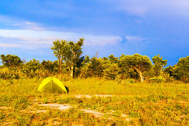 istock Camp ground near Kasane in Botswana 481664688