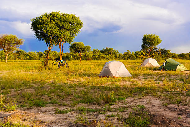 istock Camp ground near Kasane in Botswana 481664698