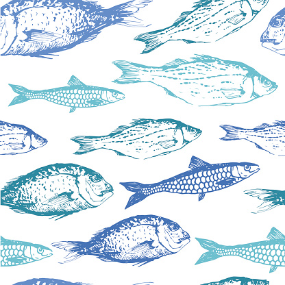 Vector Background With Drawing Fish Stock Illustration - Download Image ...
