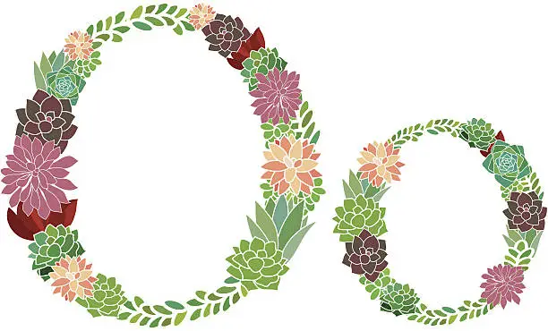 Vector illustration of Succulent letter O and o