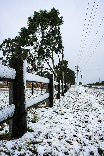 Snow on fence line stock photo