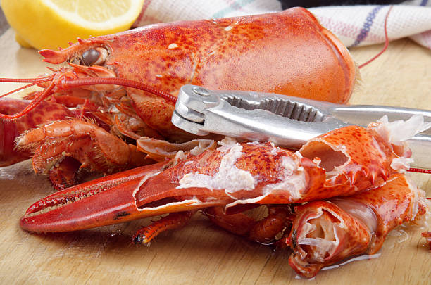 istock open lobster pincer on wooden board 481670757