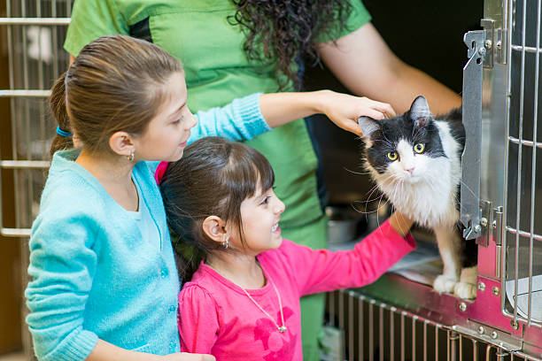 Pet Adoption Kids picking a cat to adopt from the animal shelter. adoption stock pictures, royalty-free photos & images