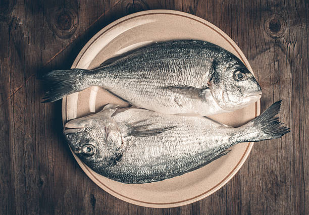istock Fresh sea bream fishes 481672284