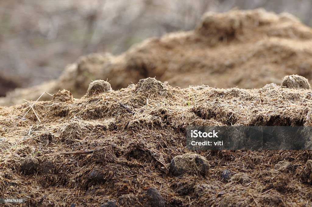 Dung - Lizenzfrei Agrarbetrieb Stock-Foto