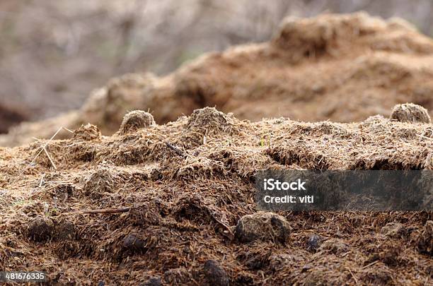 Dung Stockfoto und mehr Bilder von Agrarbetrieb - Agrarbetrieb, Dampf, Dünger