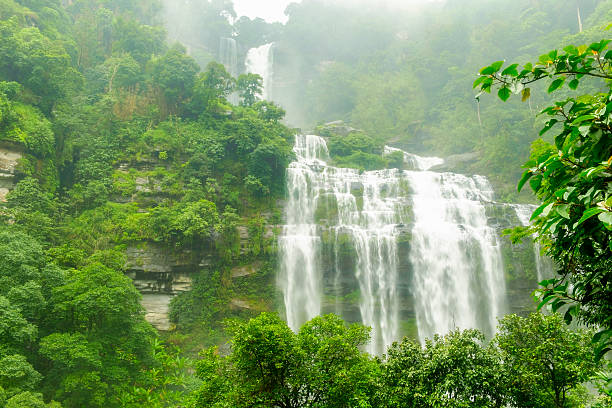 istock tad khamude Waterfall.Paksong District, Champasak Province 481678378