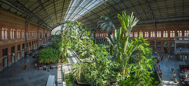 estação de trem de atocha de madri, os viajantes jardim interno plaza panorama espanha - southern europe public transportation international landmark local landmark - fotografias e filmes do acervo